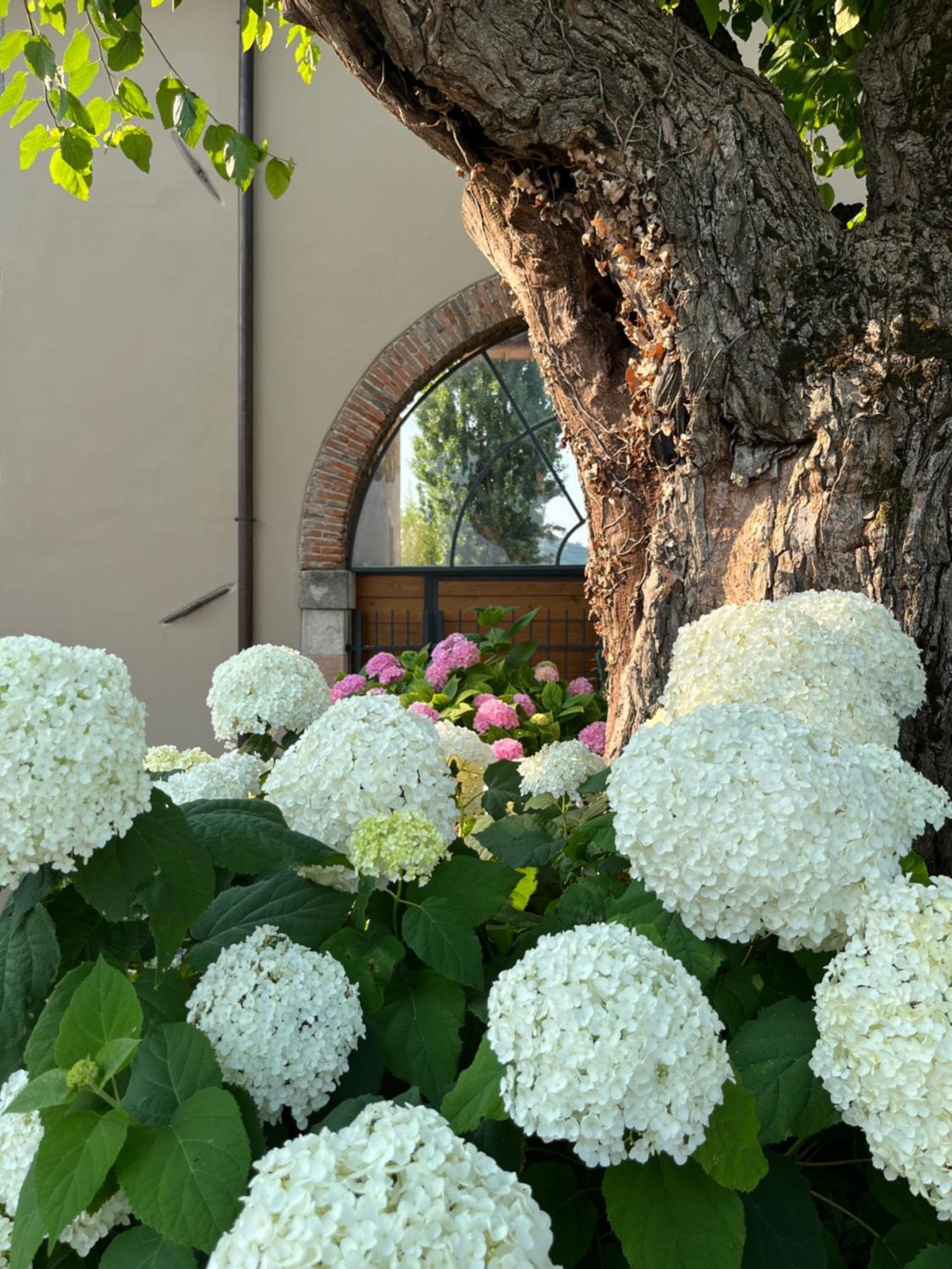Вілла Casa Perazzolo Montecchia di Crosara Екстер'єр фото